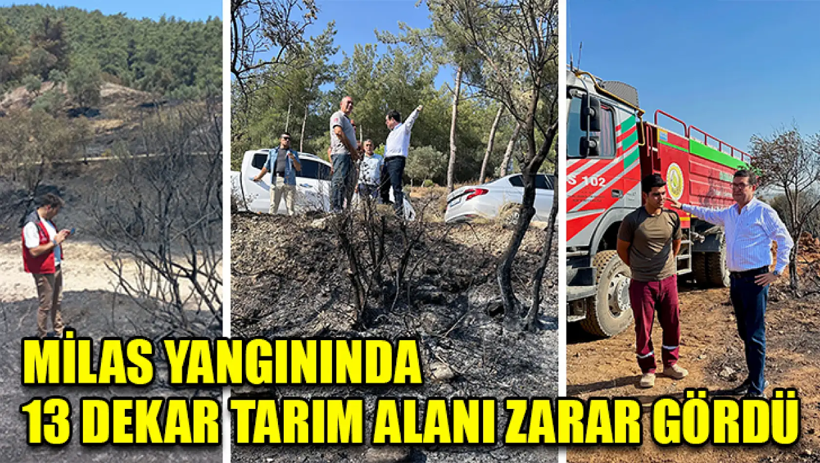 Milas Yangınında 13 Dekar Tarım Alanı Zarar Gördü