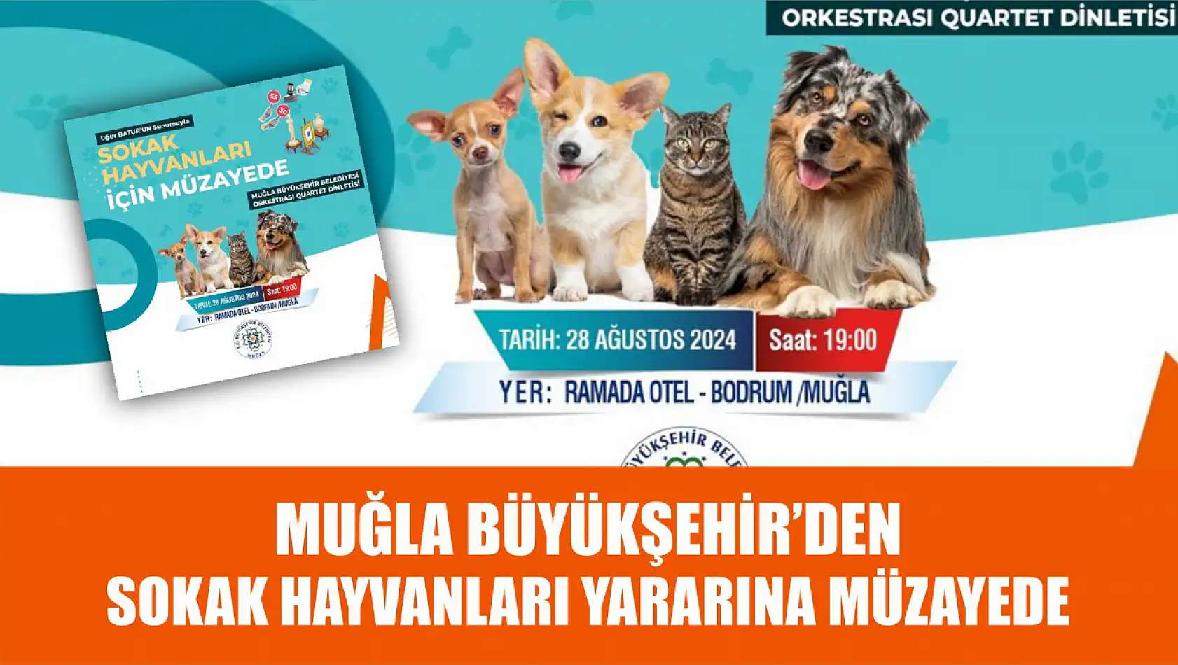 Muğla Büyükşehirden sokak hayvanları yararına müzayede