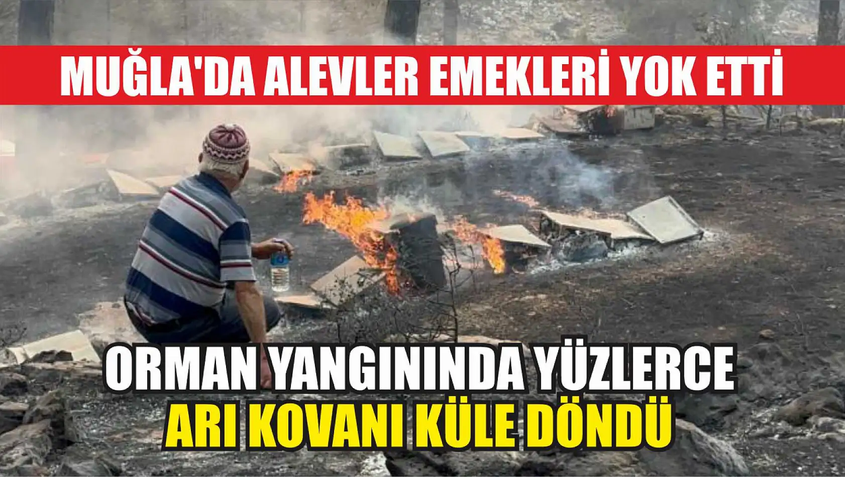 Muğla'da alevler emekleri yok etti: Orman yangınında yüzlerce arı kovanı küle döndü