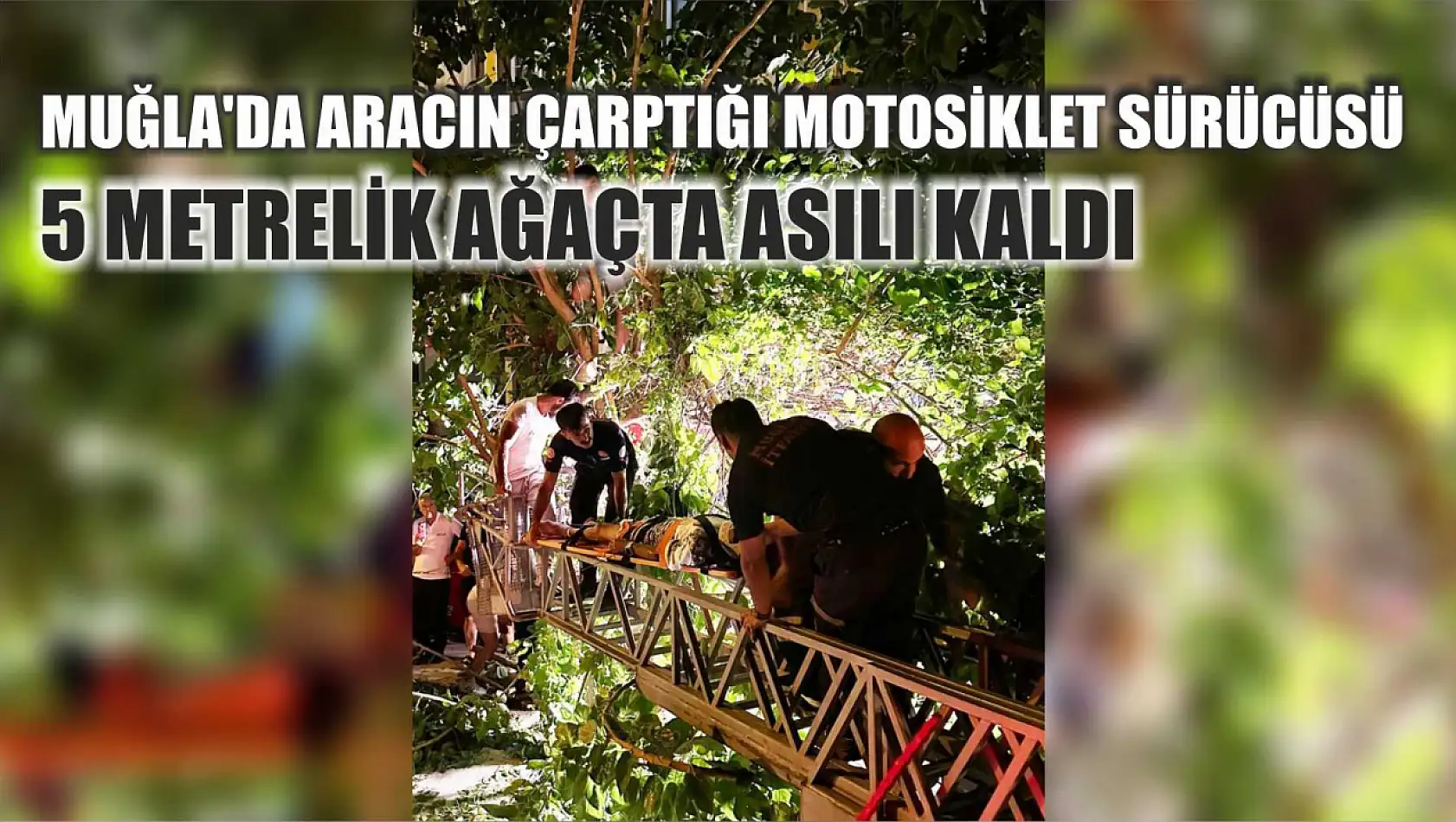 Muğla'da aracın çarptığı motosiklet sürücüsü 5 metrelik ağaçta asılı kaldı