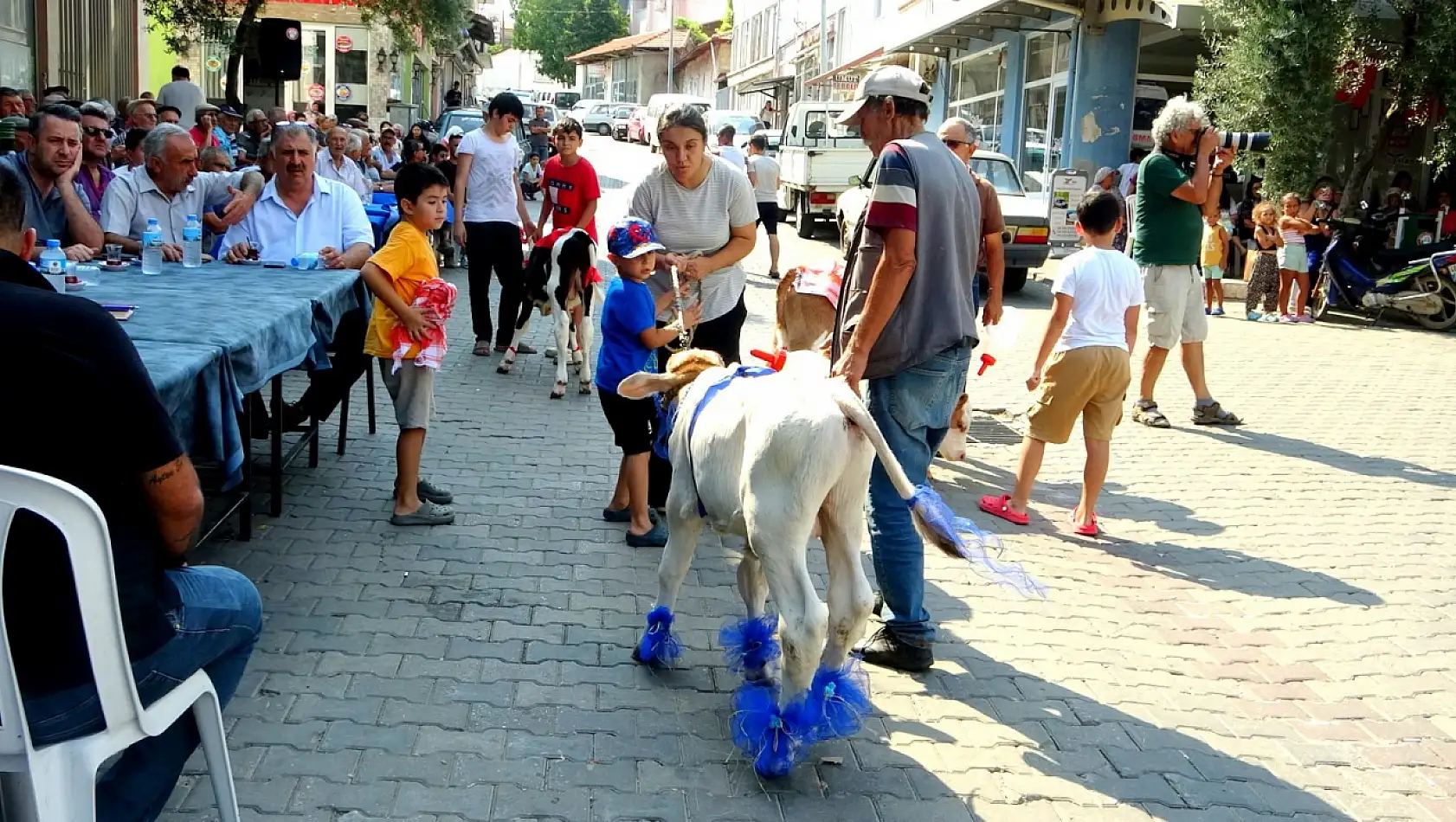 Muğla'da Buzağı Güzellik Yarışması'nda renkli görüntüler oluştu