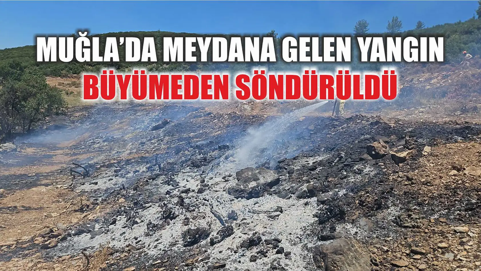 Muğla'da meydana gelen yangın büyümeden söndürüldü