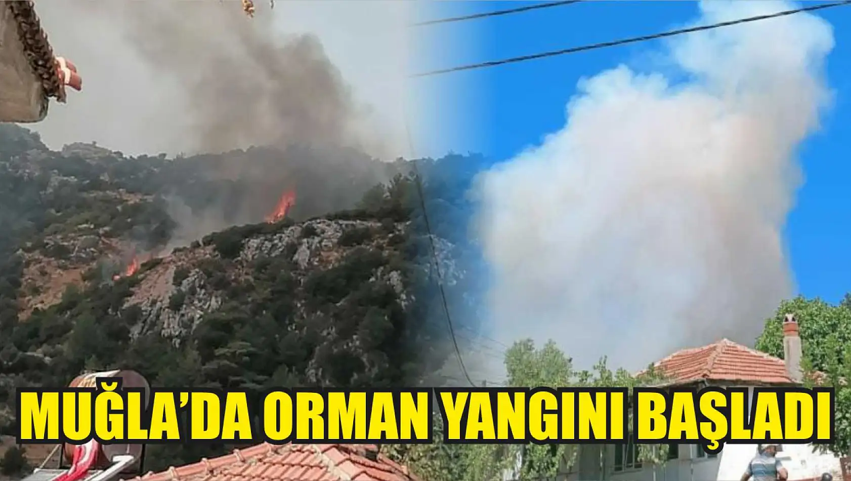 Muğla'da orman yangını başladı