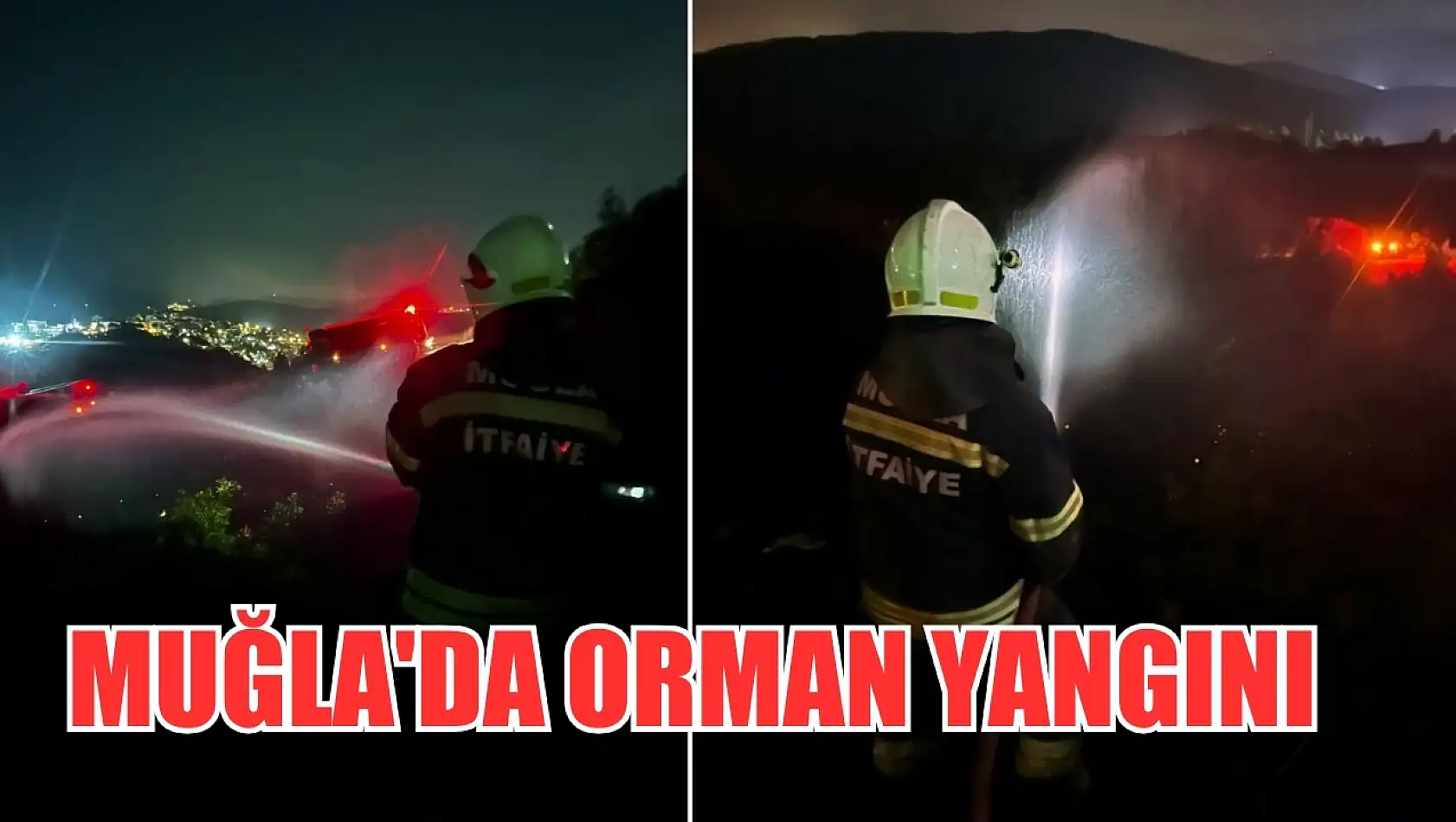 Muğla'da orman yangını