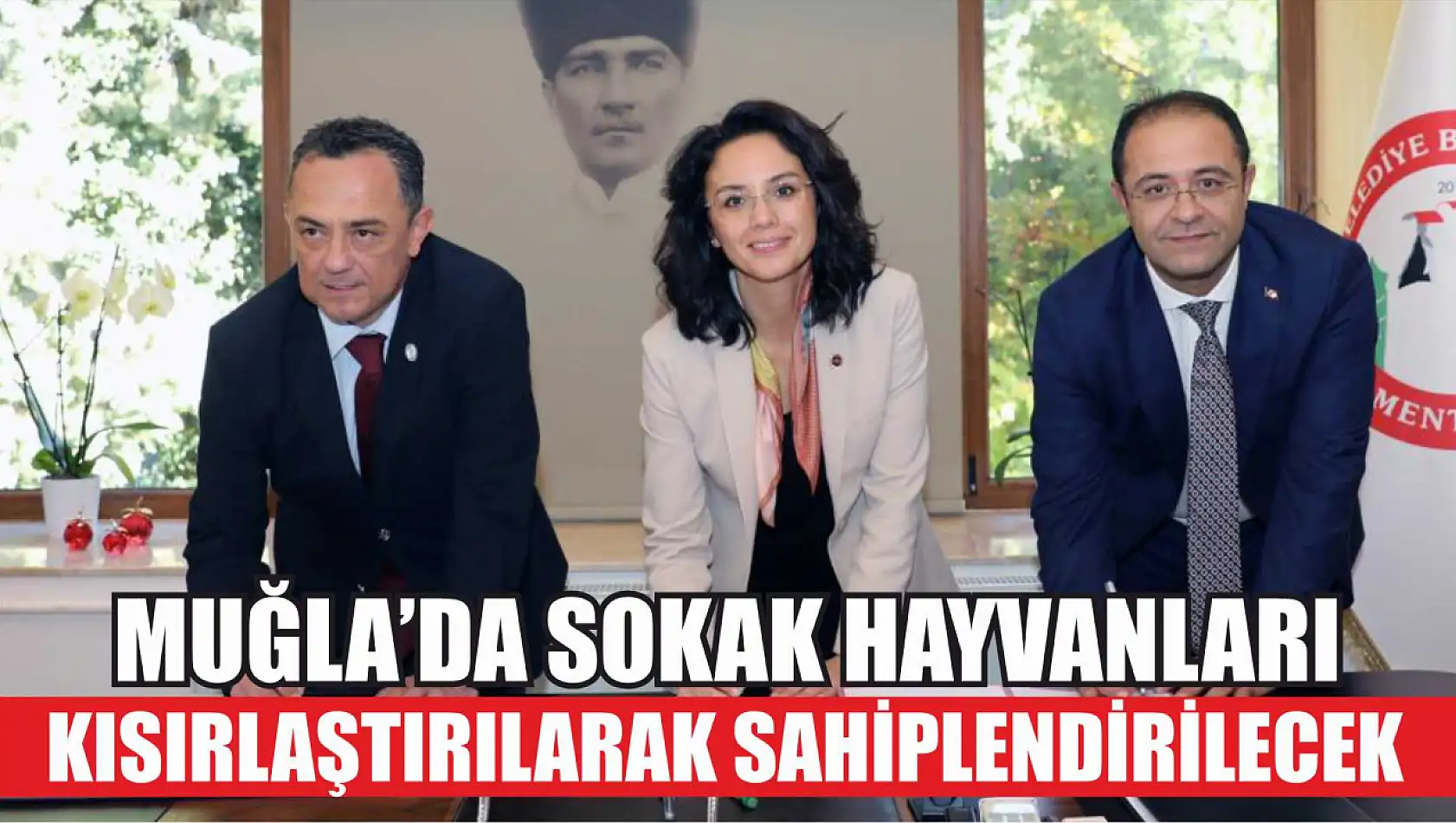 Muğla'da Sokak hayvanları kısırlaştırılarak sahiplendirilecek