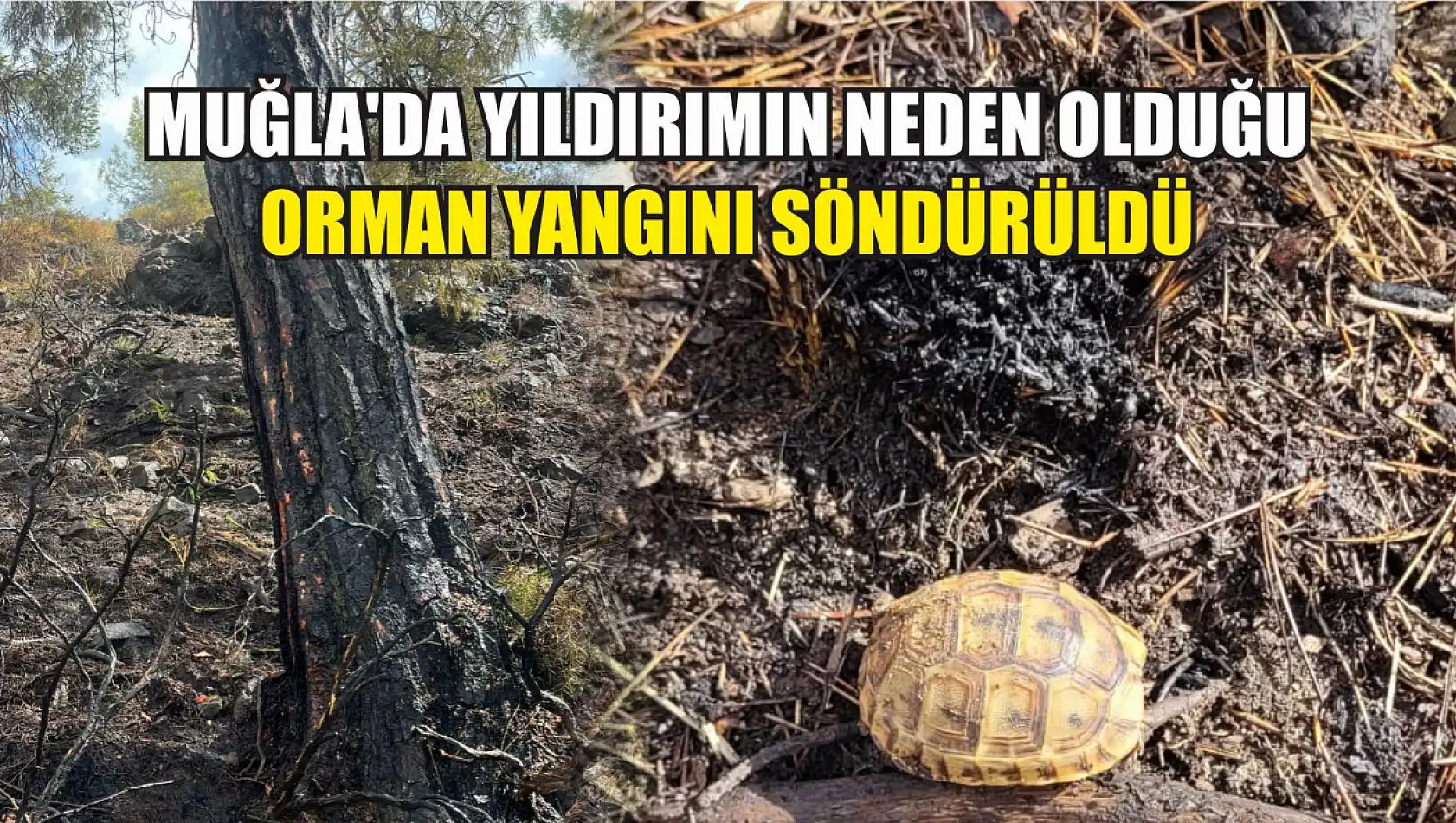 Muğla'da yıldırımın neden olduğu orman yangını söndürüldü