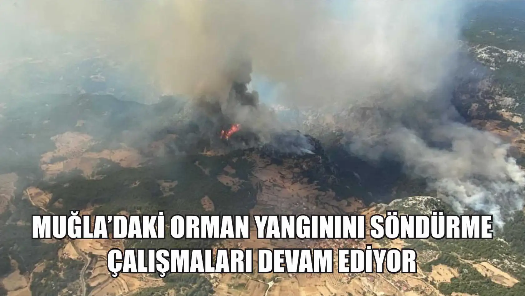 Muğla'daki orman yangınını söndürme çalışmaları devam ediyor