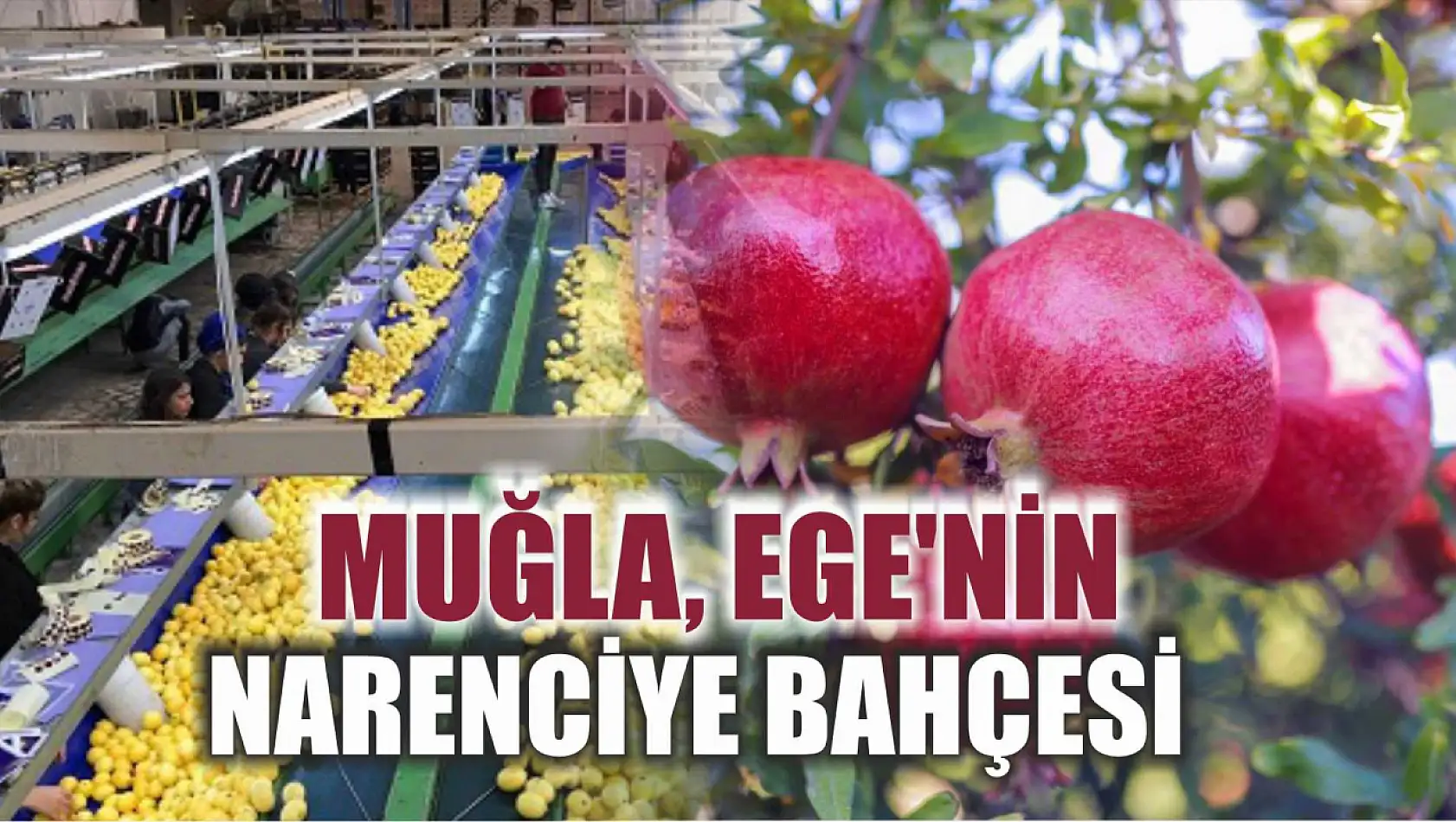 Muğla, Ege'nin Narenciye Bahçesi