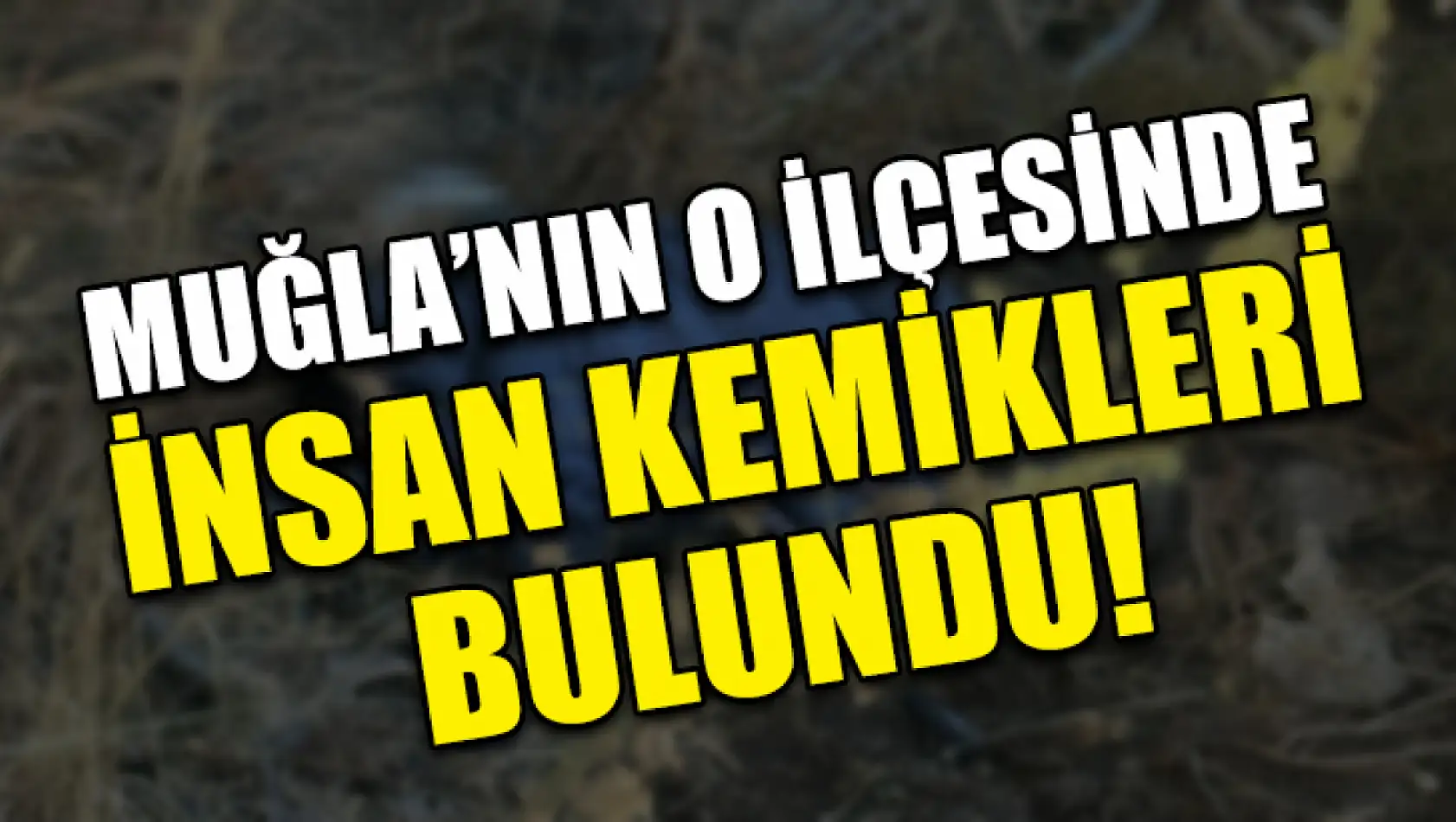 Muğla'nın O İlçesinde İnsan Kemikleri Bulundu!