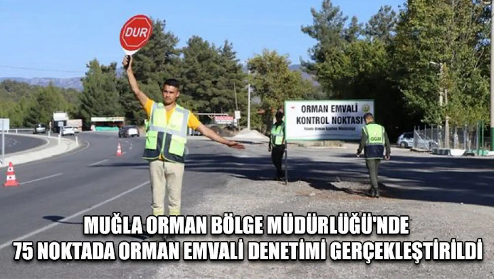 Muğla Orman Bölge Müdürlüğü'nde 75 noktada orman emvali denetimi gerçekleştirildi