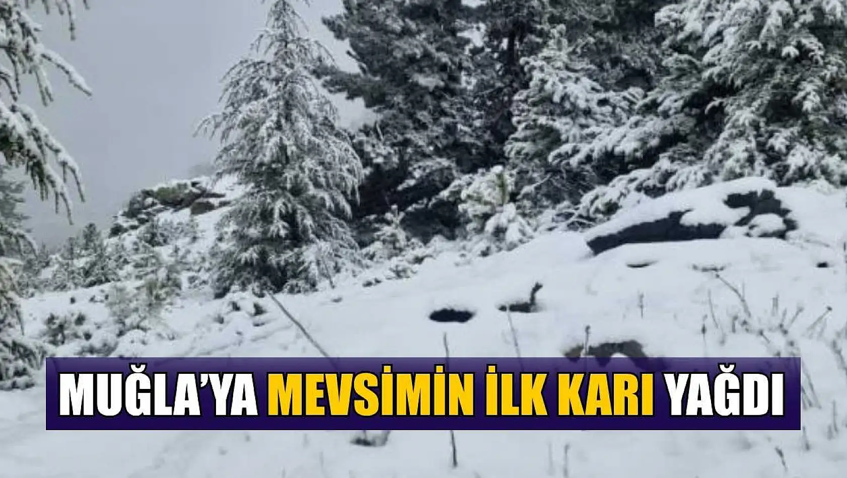 Muğla'ya mevsimin ilk karı yağdı