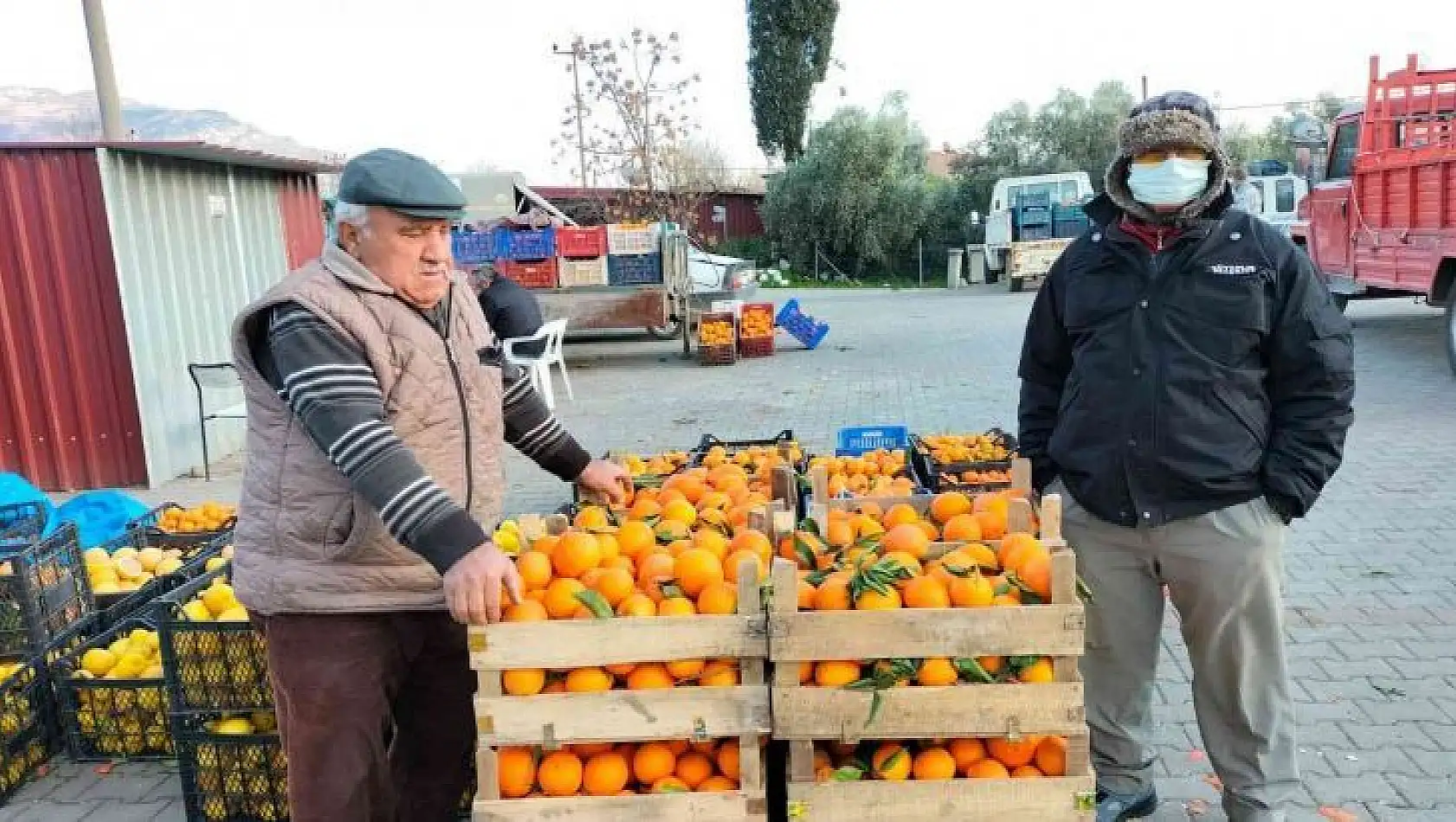 Narenciye üretim merkezinde çiftçiler soğuk hava deposu istiyor