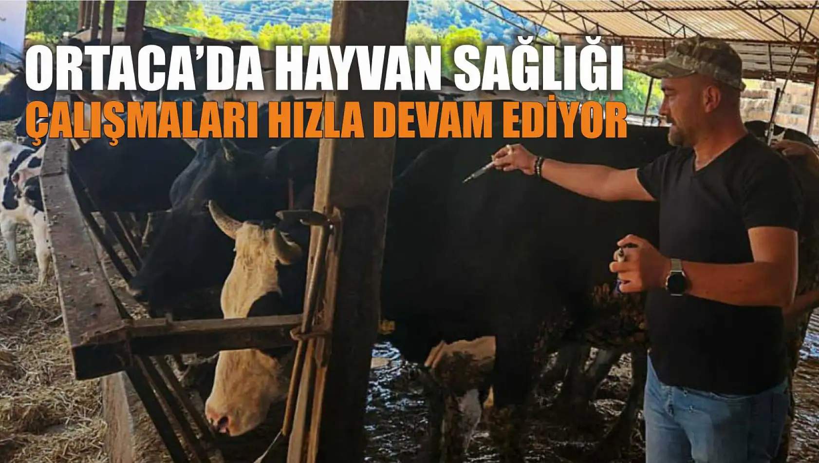 Ortaca'da hayvan sağlığı çalışmaları hızla devam ediyor