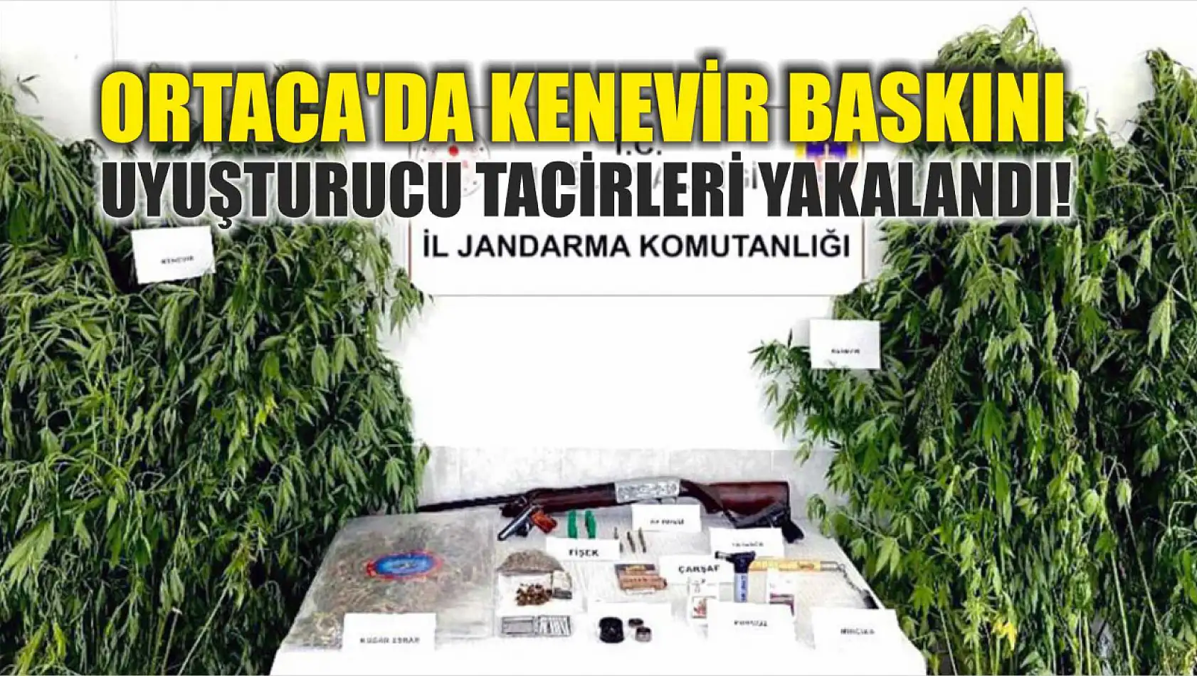 Ortaca'da Kenevir Baskını: Uyuşturucu Tacirleri Yakalandı!