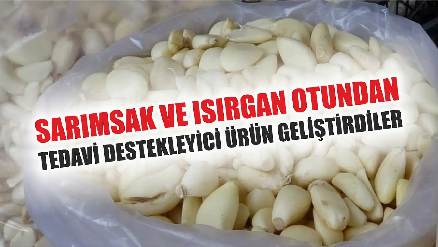 Sarımsak ve ısırgan otundan tedavi destekleyici ürün geliştirdiler