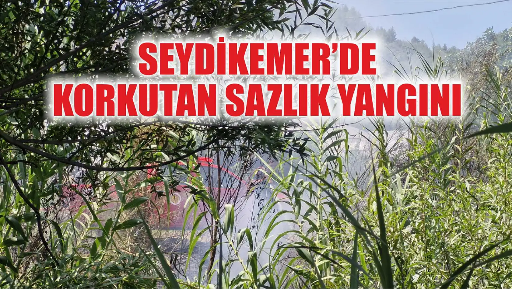 Seydikemer'de korkutan sazlık yangını