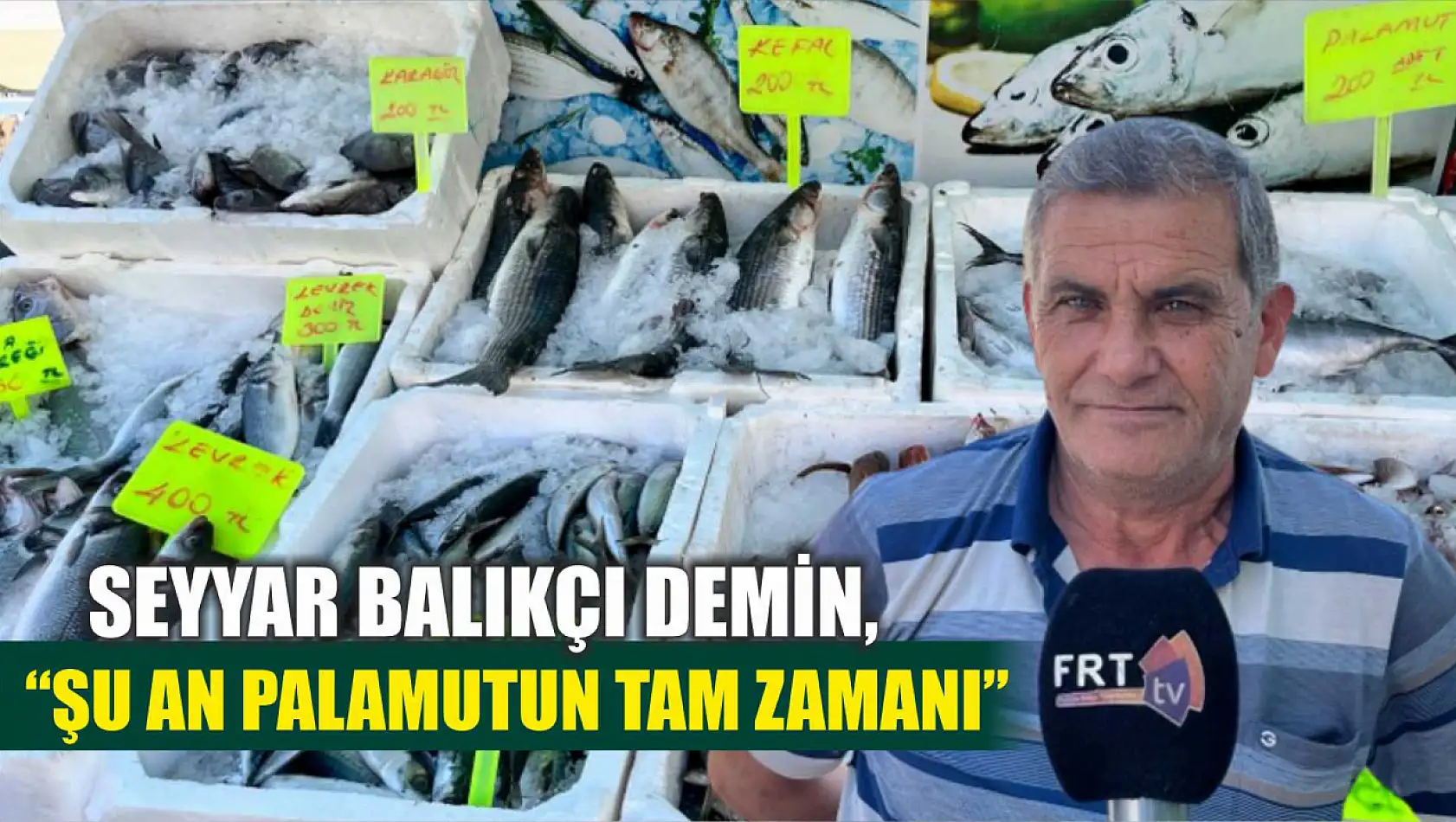 Seyyar Balıkçı Demin, 'Şu an Palamutun Tam Zamanı'