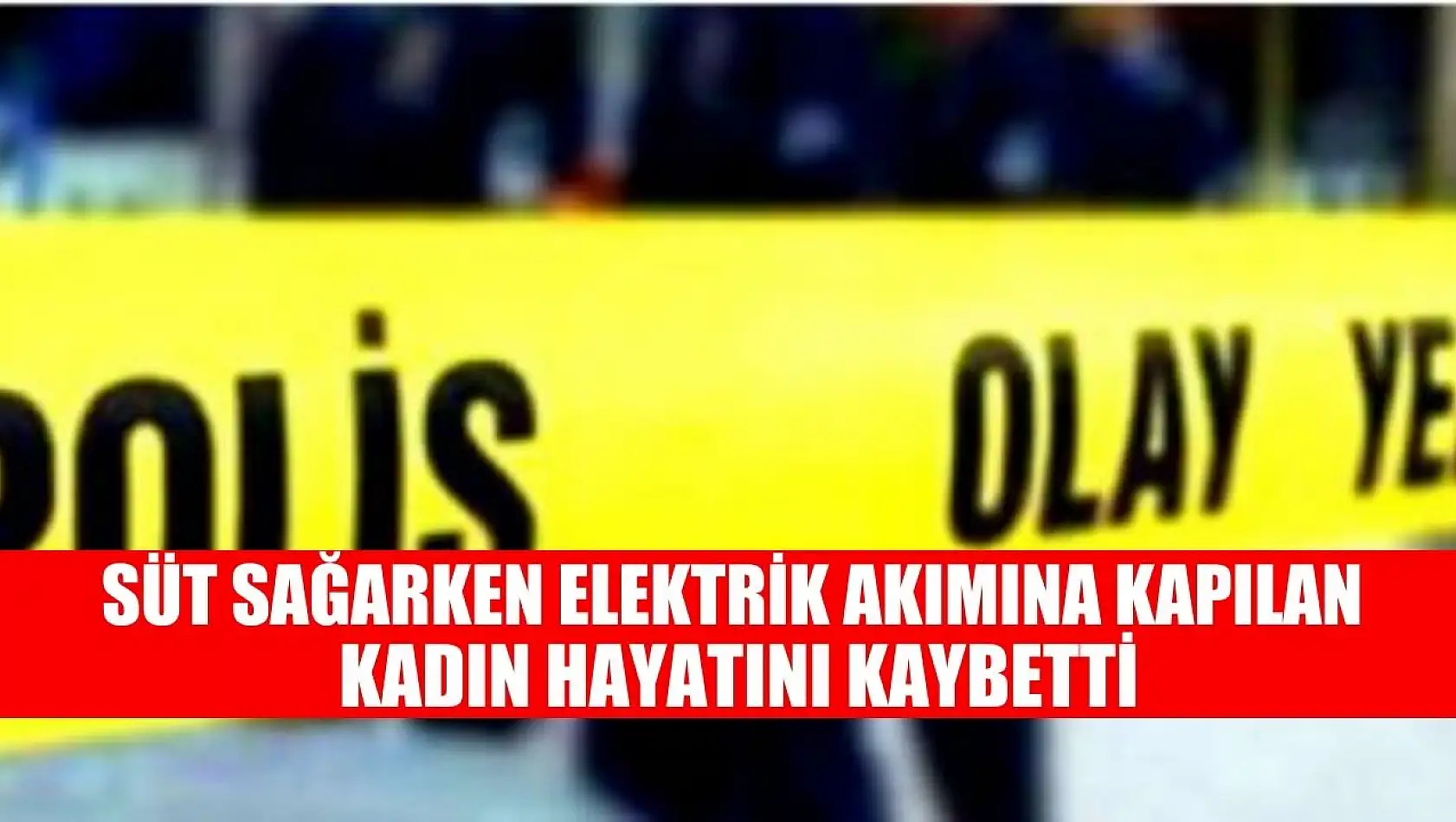 Süt sağarken elektrik akımına kapılan kadın hayatını kaybetti