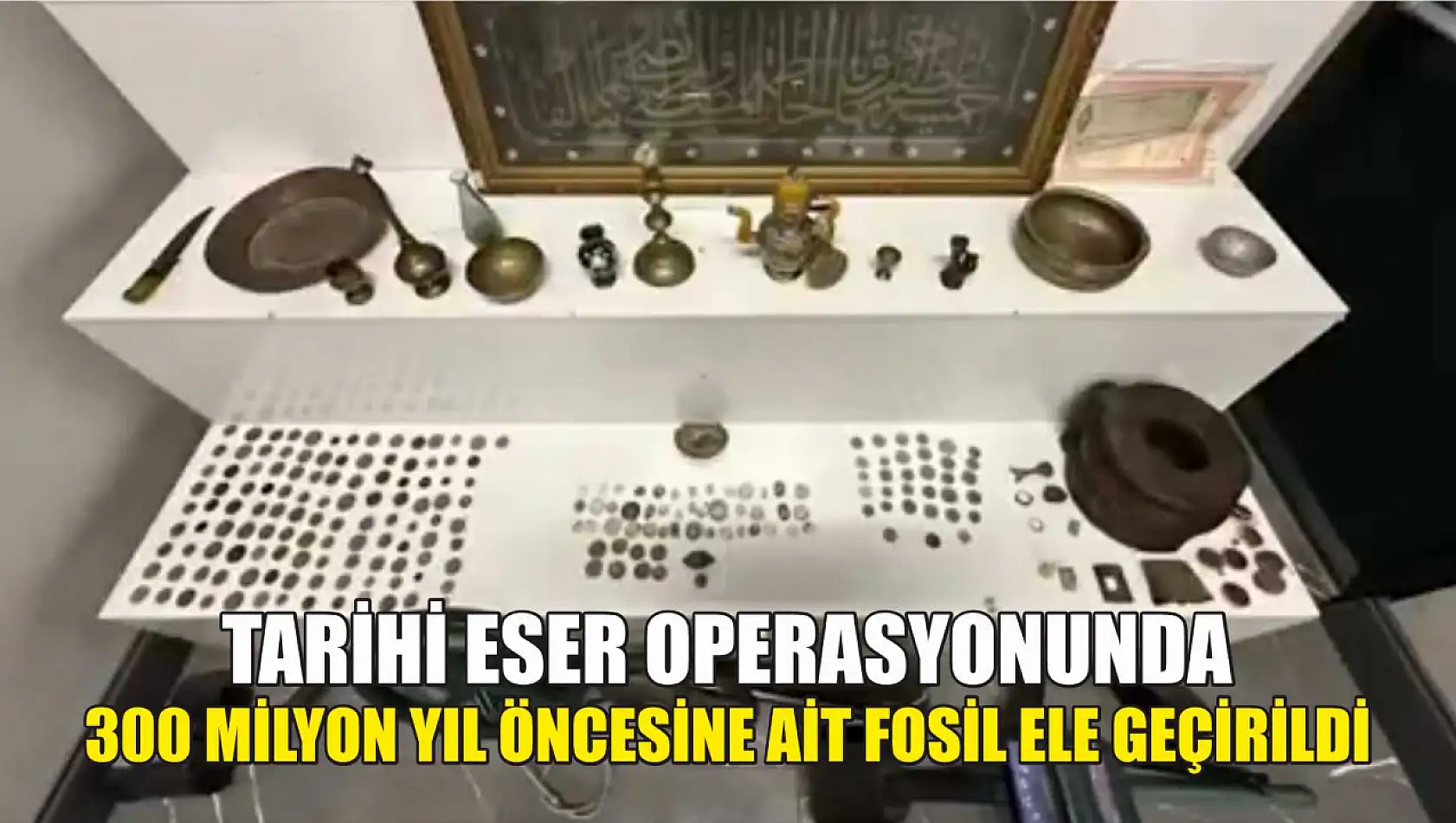 Tarihi eser operasyonunda 300 milyon yıl öncesine ait fosil ele geçirildi