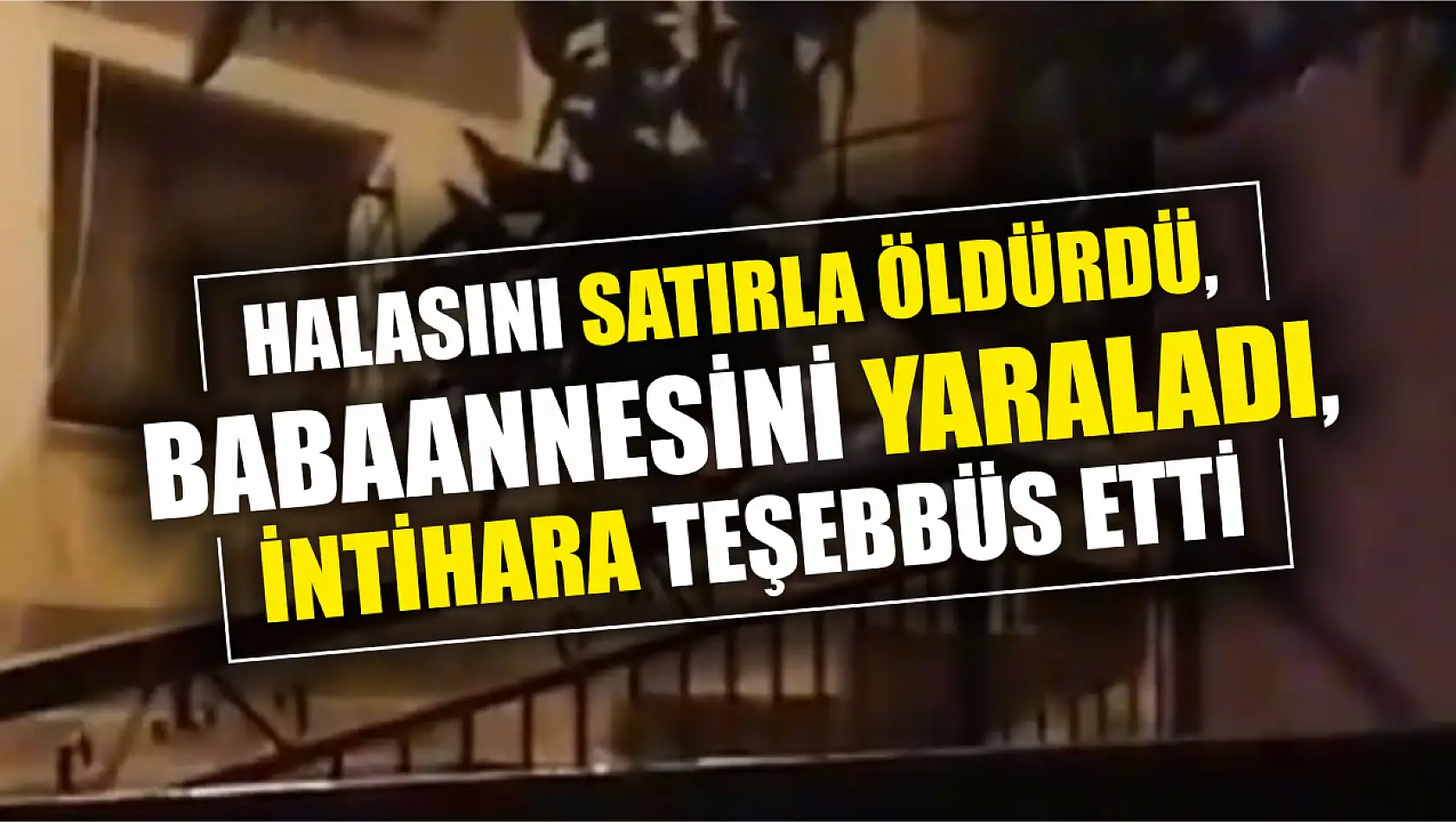 Tartıştığı halasını satırla öldürdü, babaannesini yaraladı, intihara teşebbüs etti