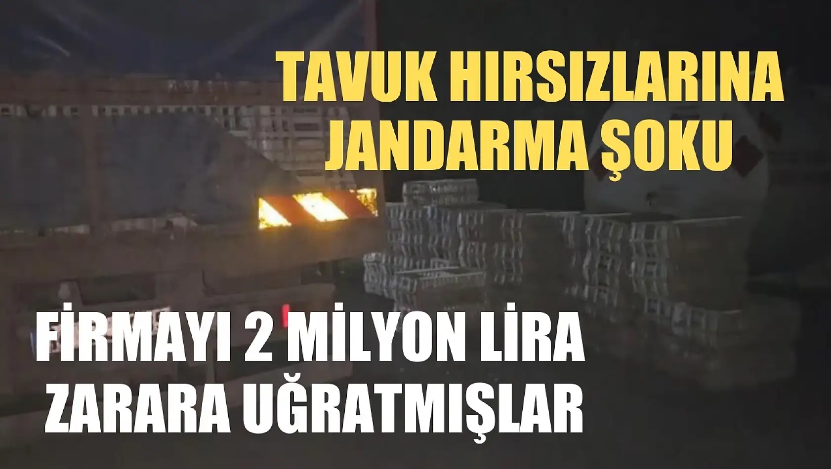 Tavuk hırsızlarına jandarma şoku firmayı 2 milyon lira zarara uğratmışlar