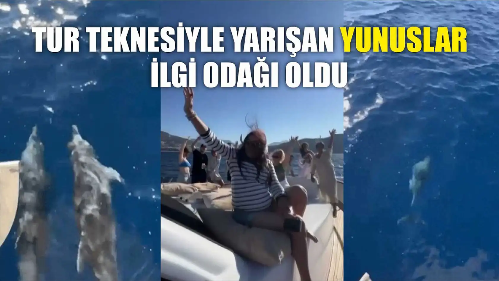 Tur Teknesiyle Yarışan Yunuslar İlgi Odağı Oldu