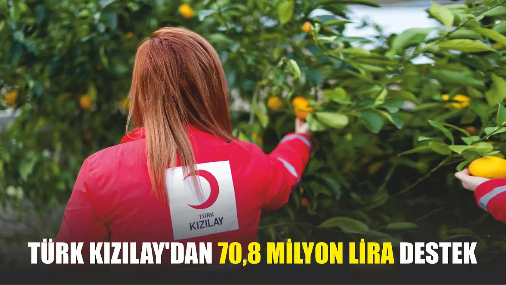 Türk Kızılay'dan 70,8 Milyon Lira Destek