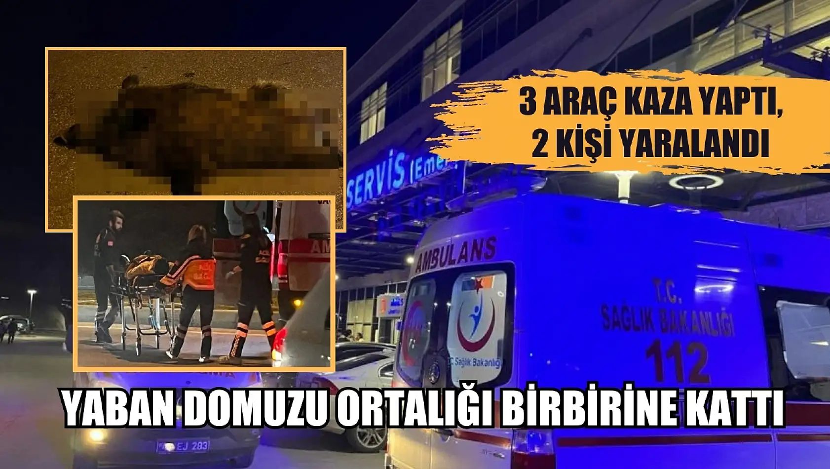 Yaban domuzu ortalığı birbirine kattı 3 araç kaza yaptı, 2 kişi yaralandı