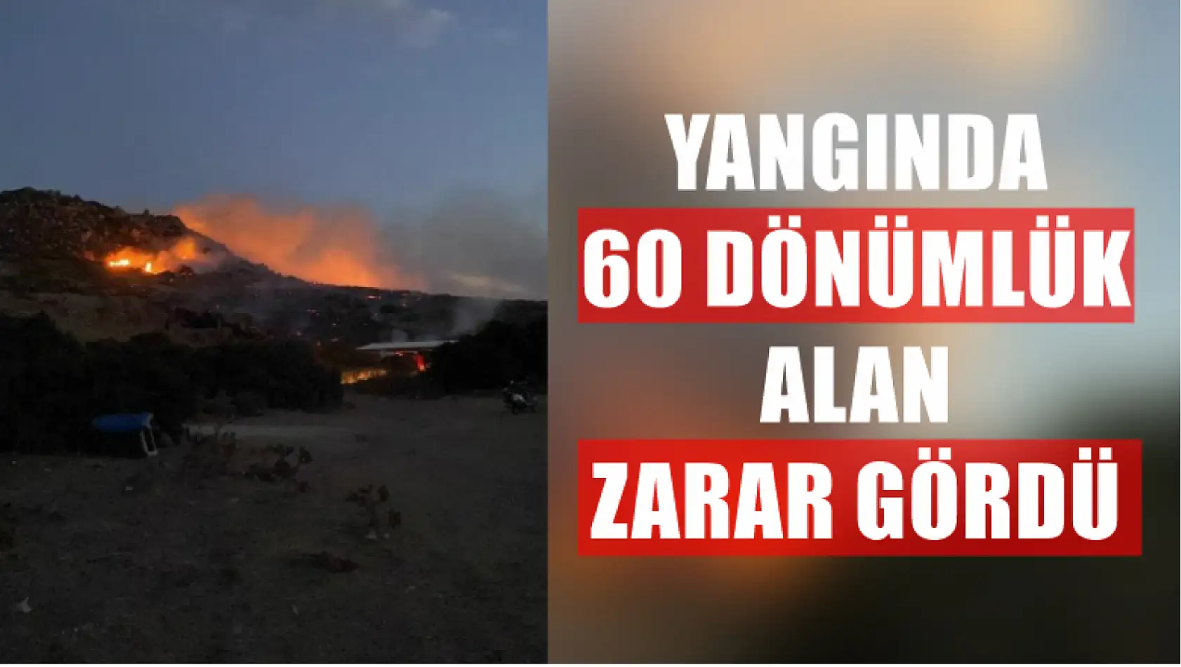 Yangında 60 dönümlük alan zarar gördü