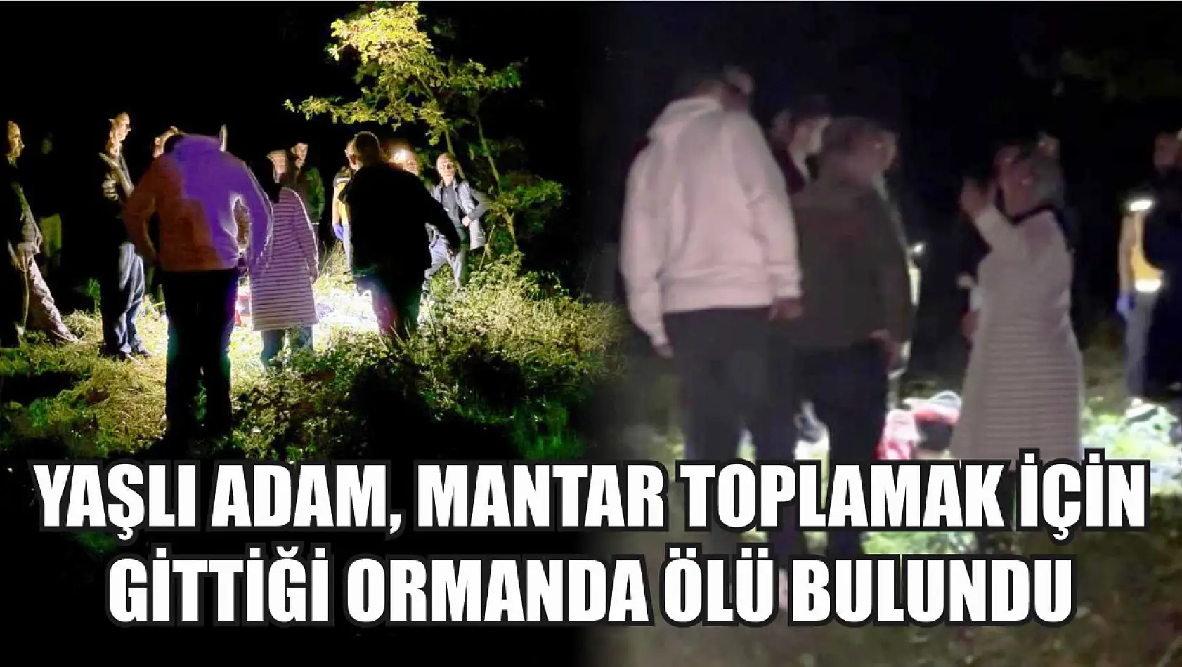 Yaşlı adam, mantar toplamak için gittiği ormanda ölü bulundu