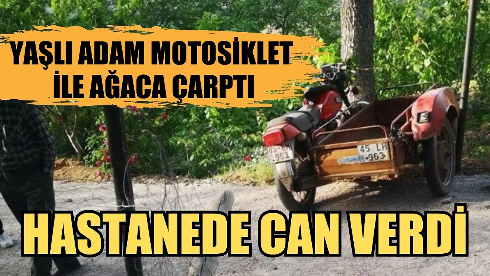 Yaşlı adam motosiklet ile ağaca çarptı, Hastanede can verdi