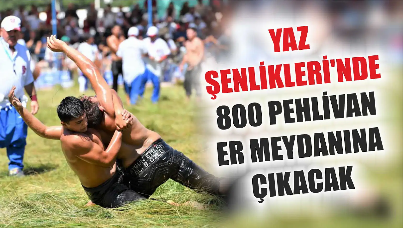 Yaz Şenlikleri'nde 800 pehlivan er meydanına çıkacak