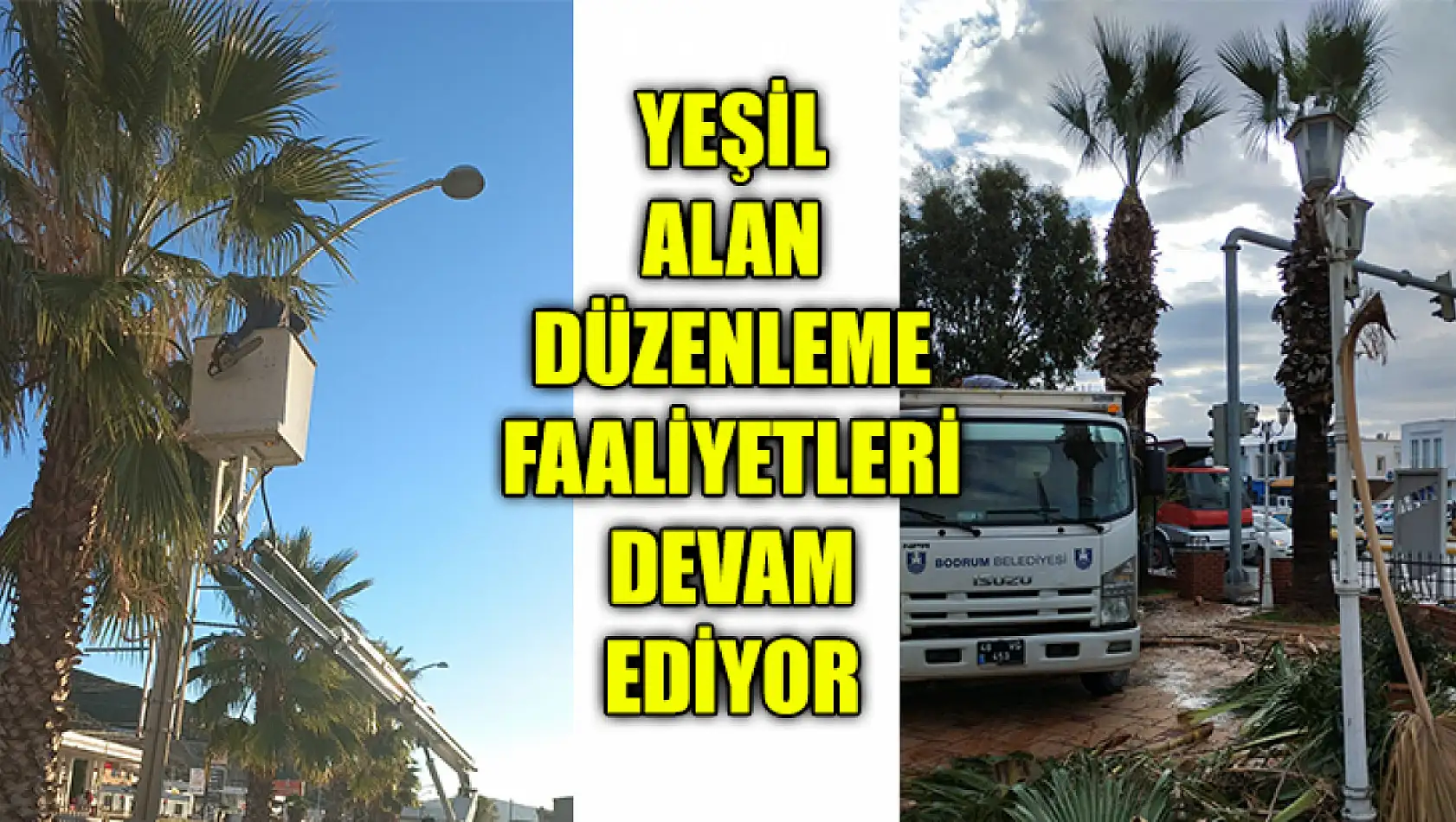 Yeşil Alan Düzenleme Faaliyetleri Devam Ediyor