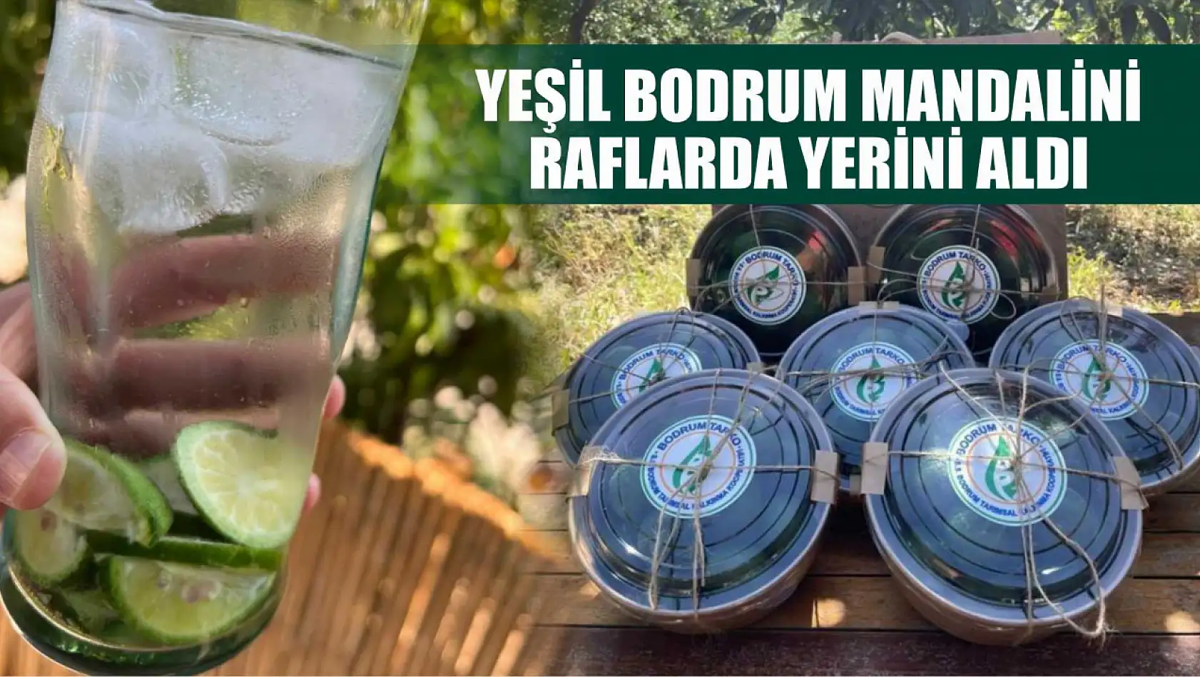 Yeşil Bodrum Mandalini raflarda yerini aldı