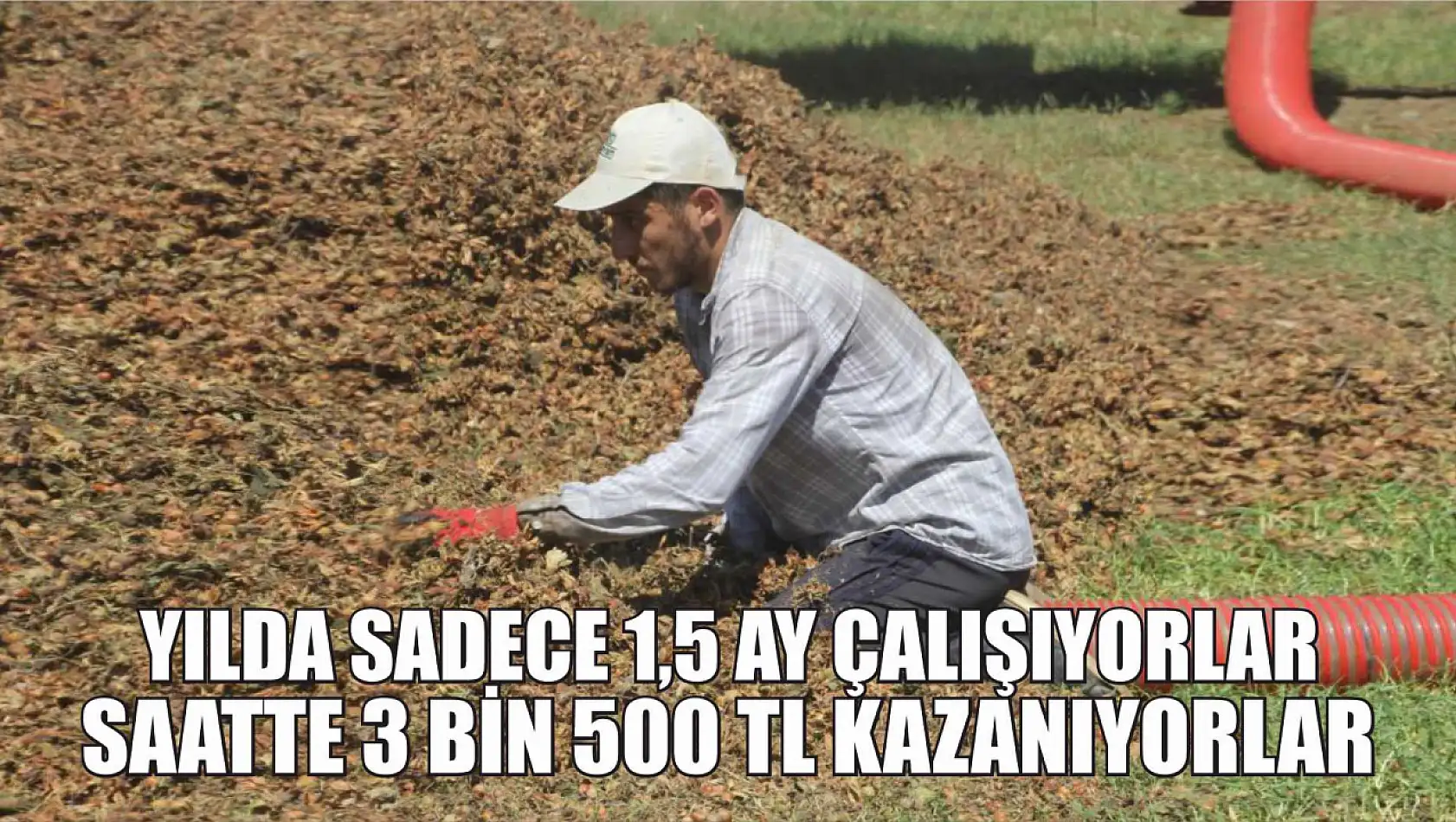 Yılda sadece 1,5 ay çalışıyorlar, saatte 3 bin 500 TL kazanıyorlar