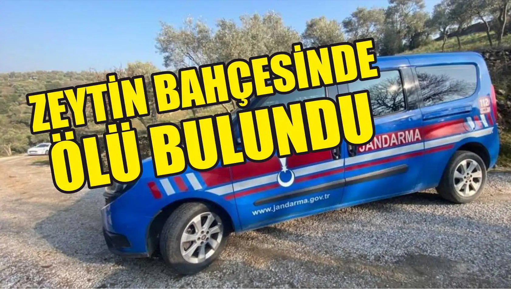 Zeytin bahçesinde ölü bulundu