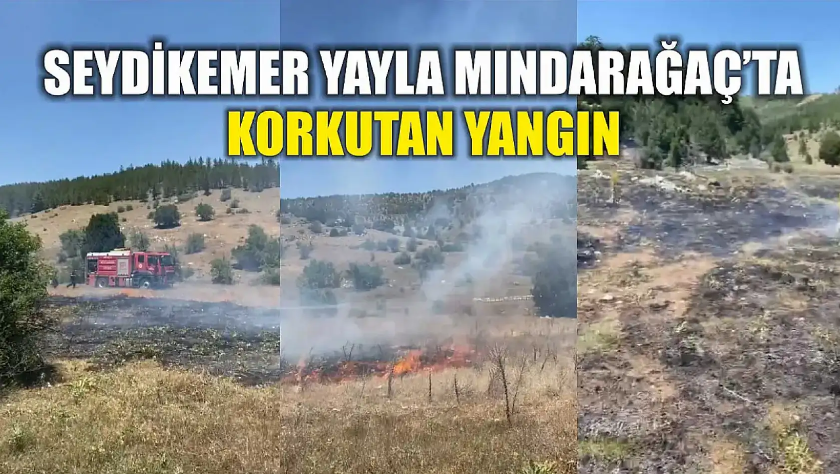 Seydikemer Yayla Mındarağaç'ta korkutan yangın