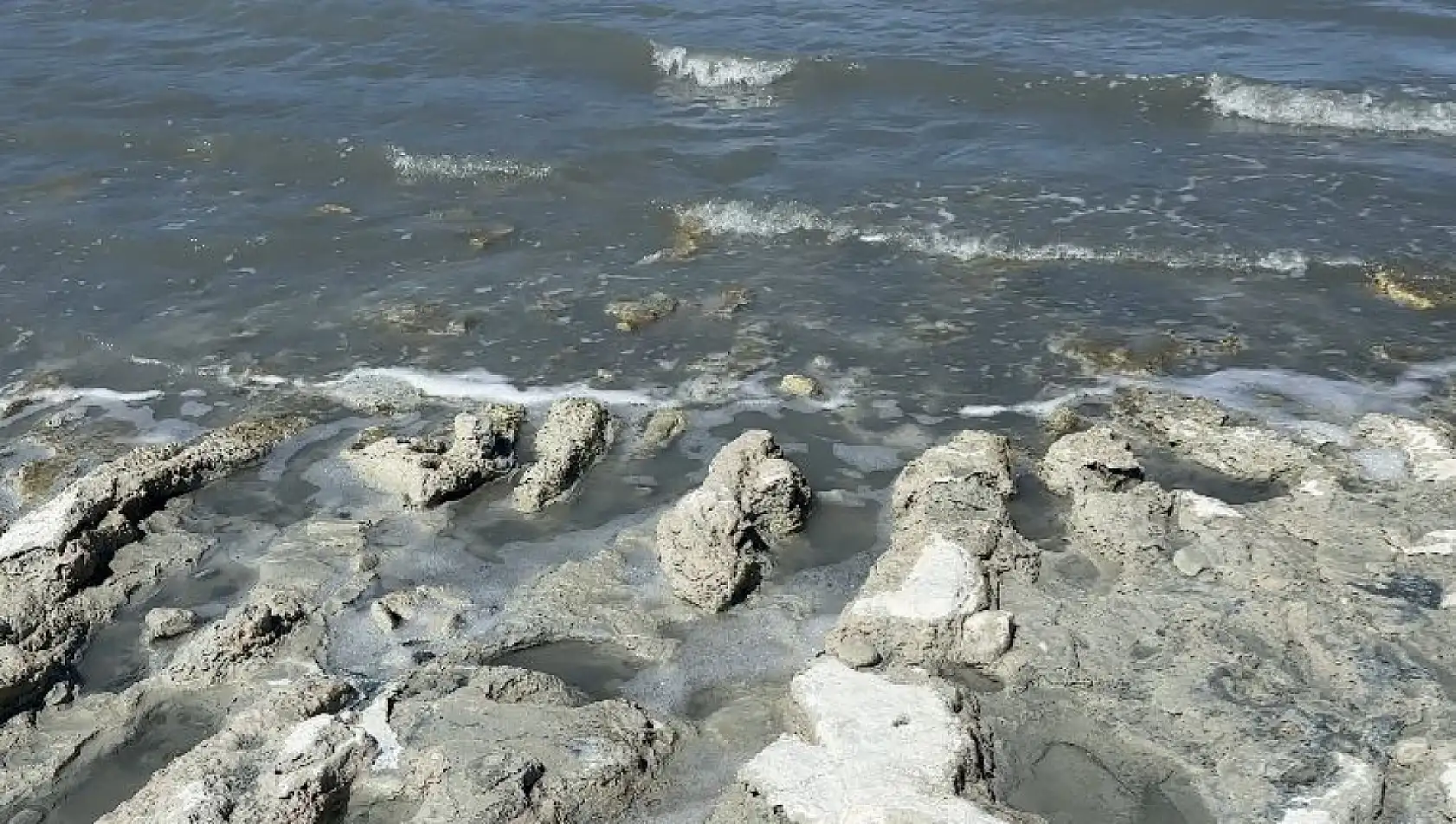 Burdur Gölü'nde balık tutmayı hayal ederken kuruyan gölde otlayan keçileri izliyor