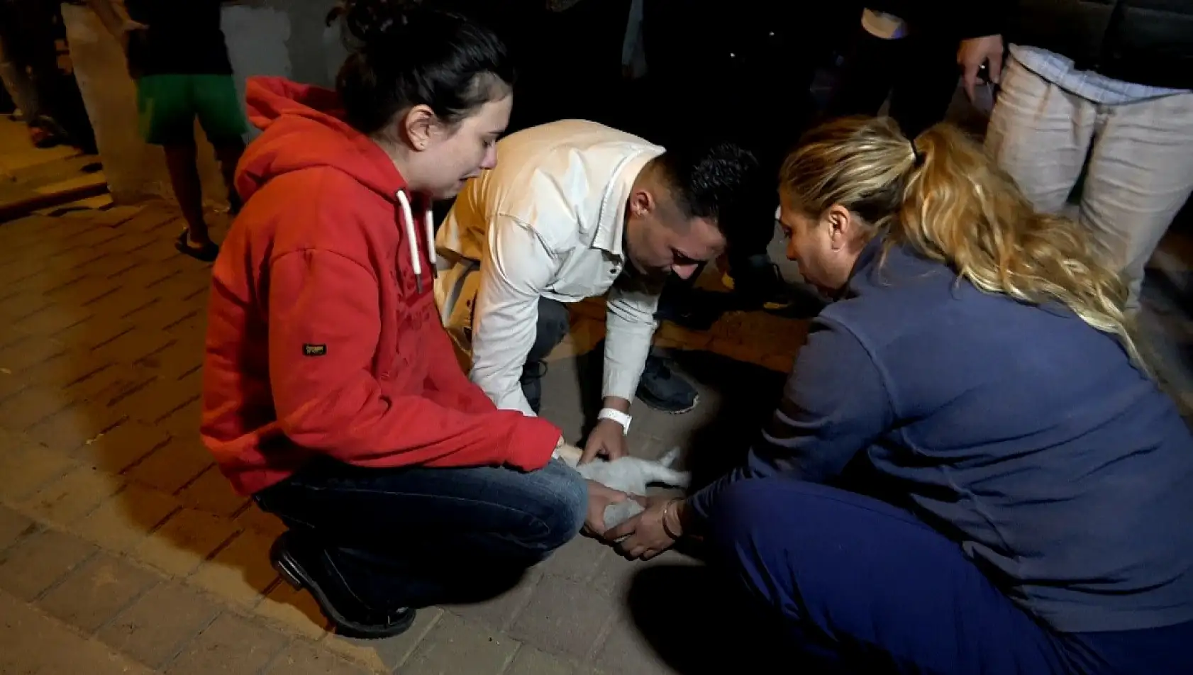 Yangında 2 kedi telef oldu, sahipleri gözyaşlarına boğuldu