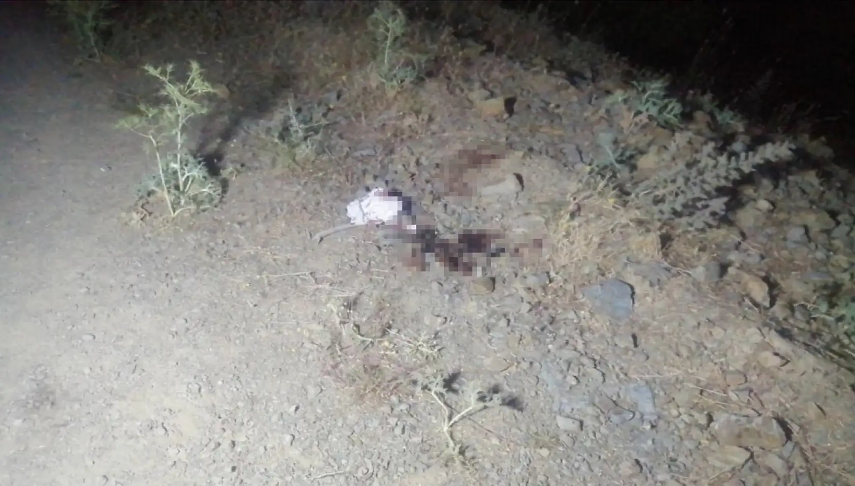 Çalıntı araçla kaçarken 'dur' ihtarına uymadı, jandarmaya ateş edip kendini vurdu