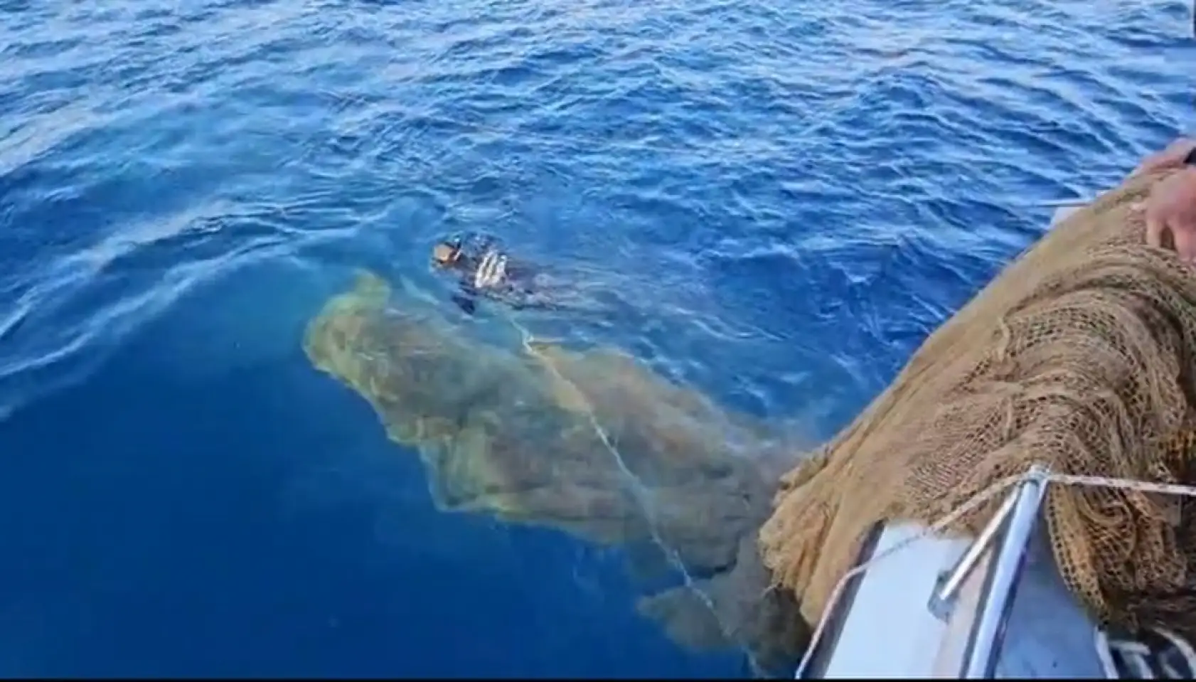 Marmaris'in denizi hayalet ağlardan temizleniyor