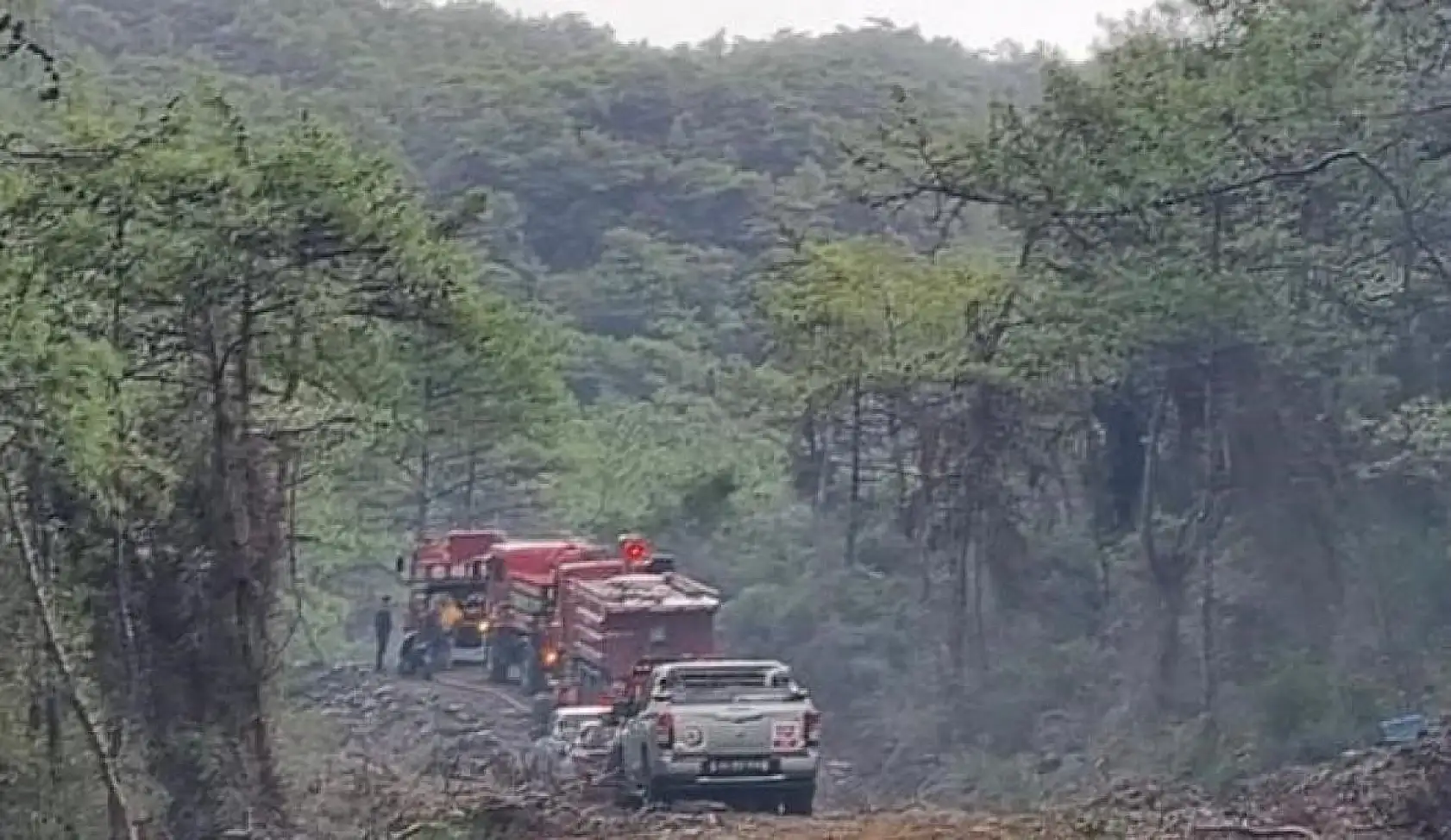 Yıldırım kaynaklı çıkan orman yangını kontrol altına alındı