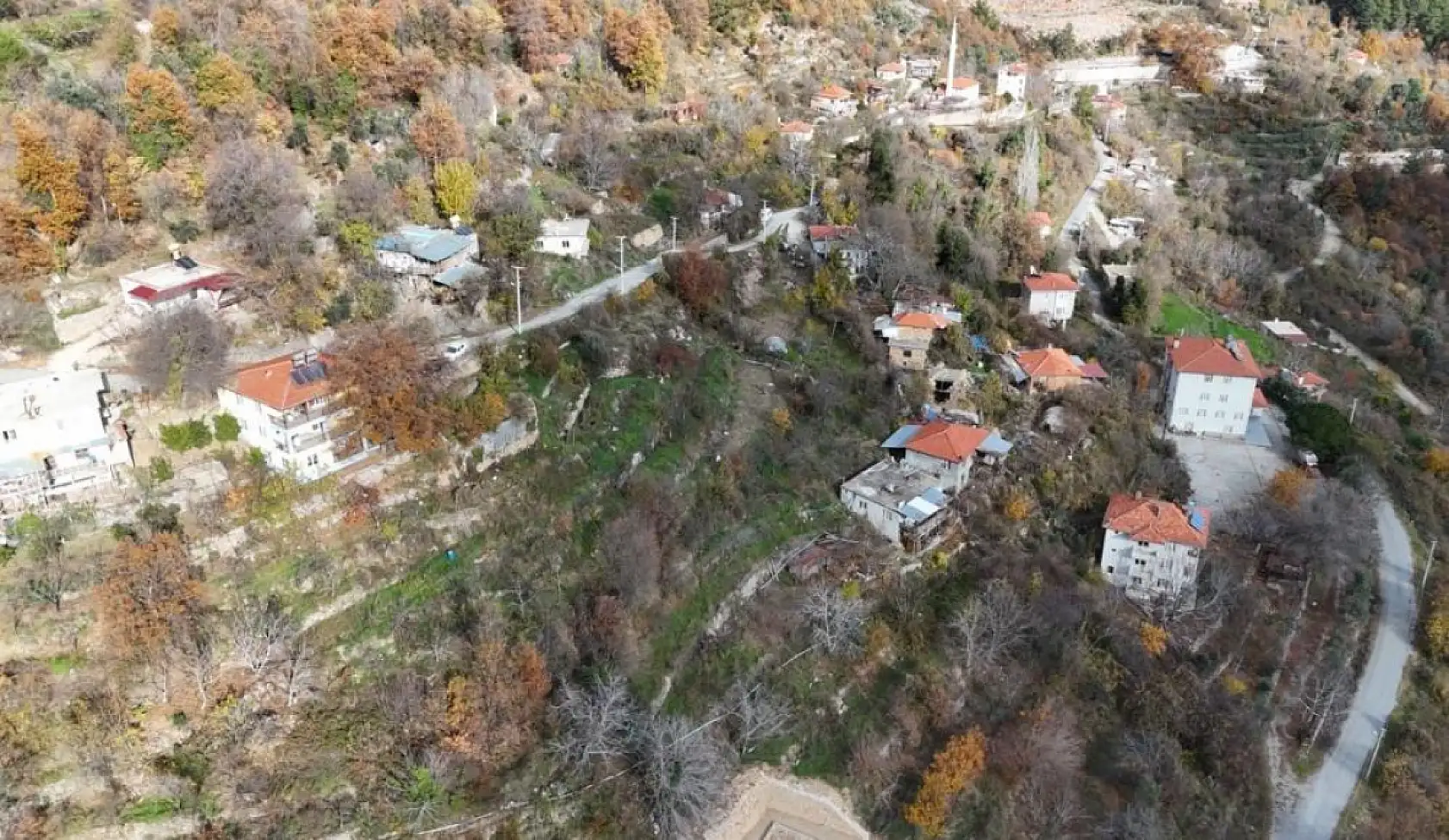 82 yaşındaki yeminli mali müşavirden köy hayatına örnek proje