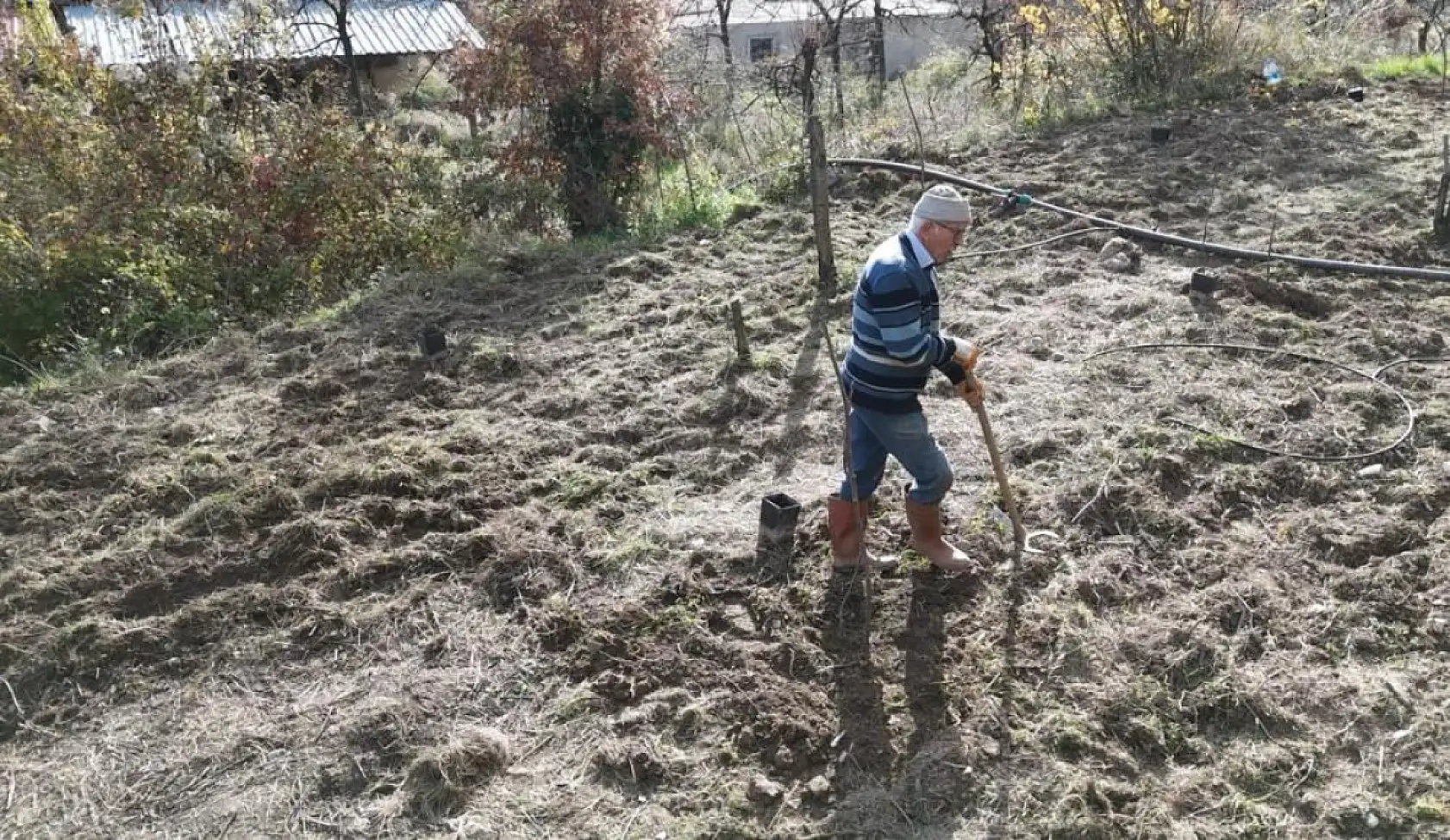 82 yaşındaki yeminli mali müşavirden köy hayatına örnek proje
