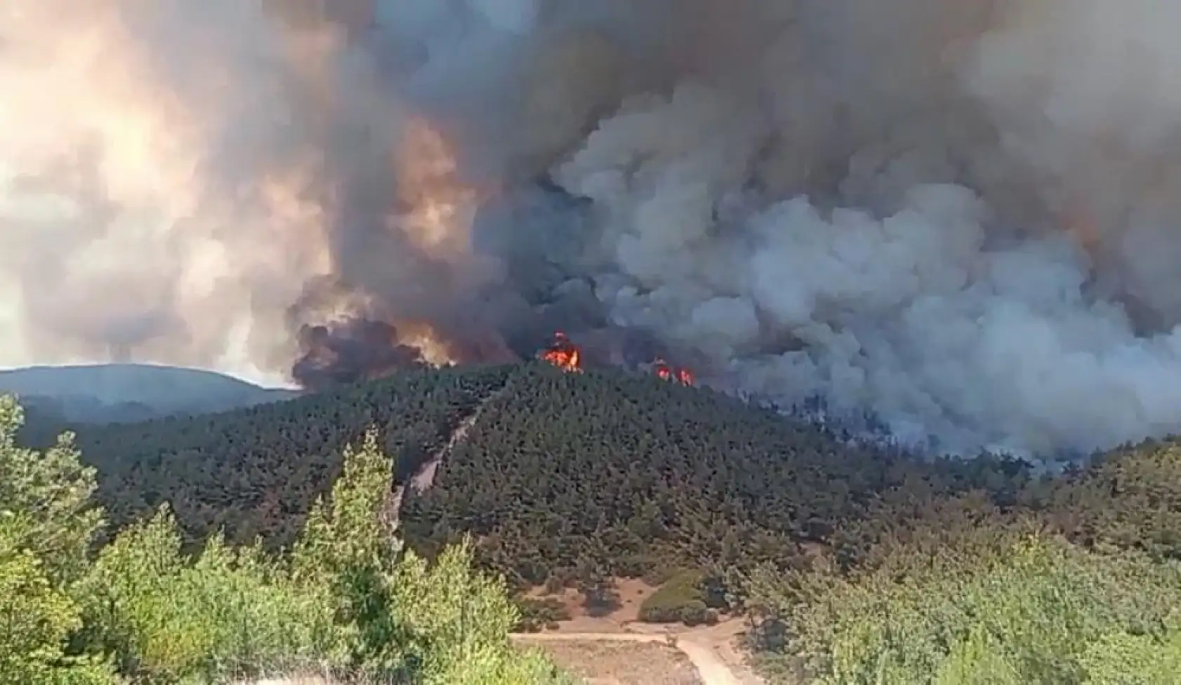 İzmir'de orman yangınına havadan 11 uçakla müdahale