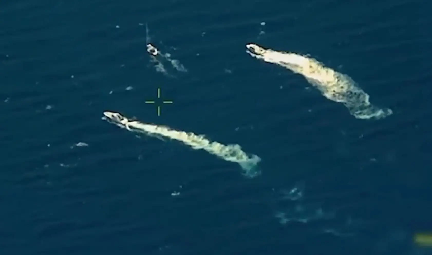 Muğla açıklarında dev uyuşturucu operasyonu