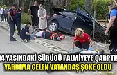 14 yaşındaki sürücü palmiyeye çarptı! Yardıma gelen vatandaş şoke oldu