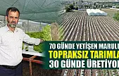 70 günde yetişen marulu topraksız tarımla 30 günde üretiyor