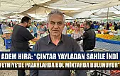 Adem Hıra: 'Çıntar yayladan sahile indi, Fethiye'de pazarlarda bol miktarda bulunuyor'