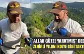 'Allah Güzel Yaratmış' Dedi, Zehirli Yılanı Kolye Gibi Taktı!